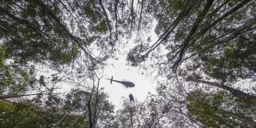 Ein Hubschrauber über dem Wollemi National Park im Bundesstaat New South Wales. Foto: Npws/NPWS/AAP/dpa