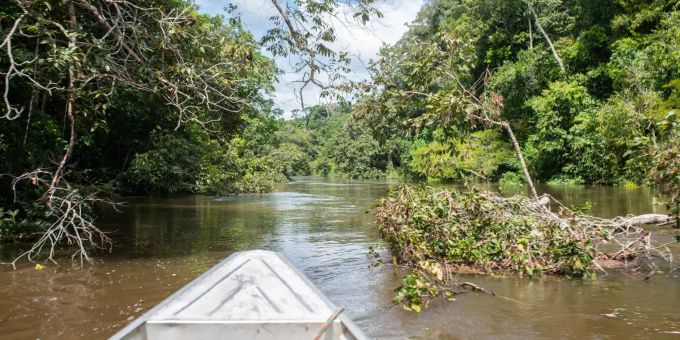 Ein Foto aus des Amazonas aus einem Boot heraus in Brasilien. (Symbolbild) Amazonas Brasilien