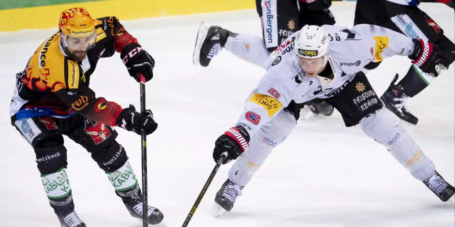 Fribourg-Gottéron steht trotz der Niederlage sicher in den Playoffs.