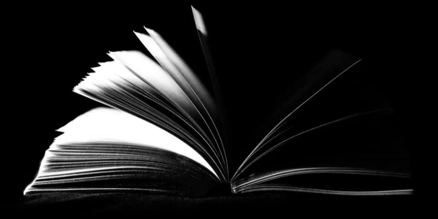 Tagebuch