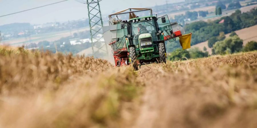 Ein Traktor mit einer Vollerntemaschine für Kartoffeln fährt über ein Feld.