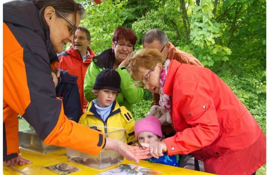Gemeinde Hölstein - Community