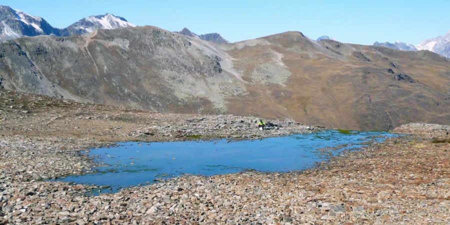 Die Quelle des Bachs liegt im Einzugsgebiet eines kleinen Bergsees in einem südlichen Seitental des Engadins GR.