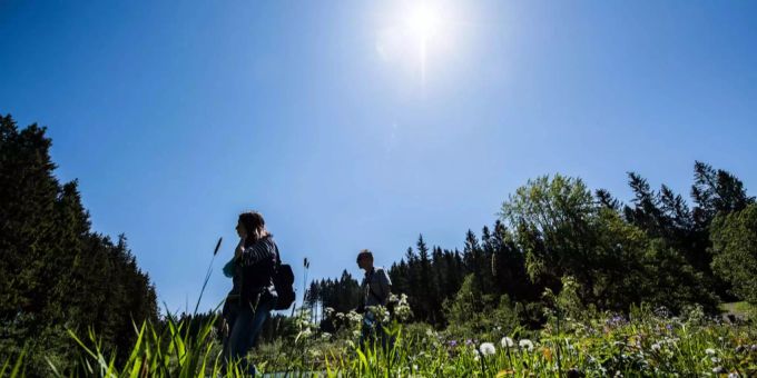 Am Montag vor einer Woche stieg die globale Durchschnittstemperatur erstmals auf über 17 Grad. (Symbolbild) Sommer