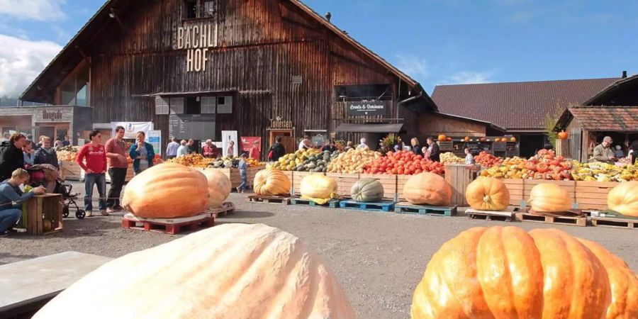 Die Jucker Farm in Seegräben ZH wies ihre Bodyguards zurecht.