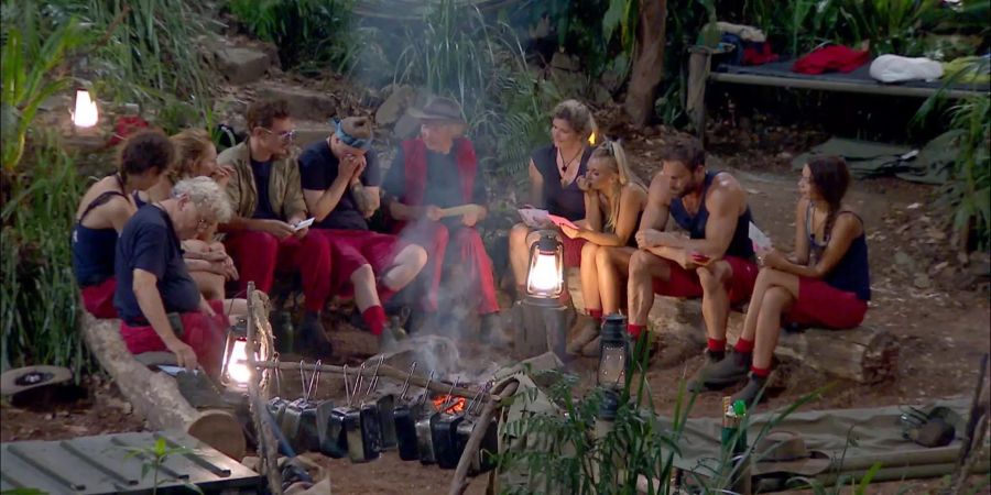 dschungelcamp lager spaltung