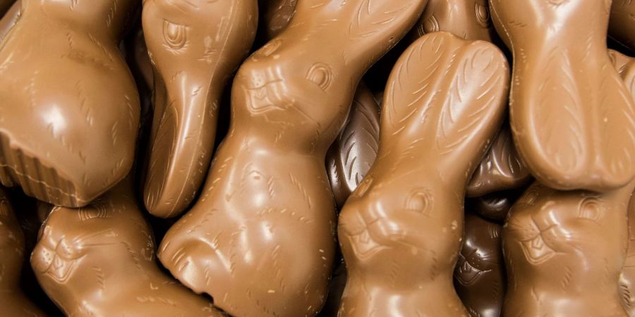 Schokoladen-Hasen liegen in einer Box - bereit, an Ostern versteckt zu werden.