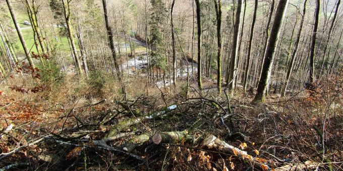 Das steilen Waldstück im Gebiet Bärschirüti befindet sich auf rund 850 m. ü. M. Tatort