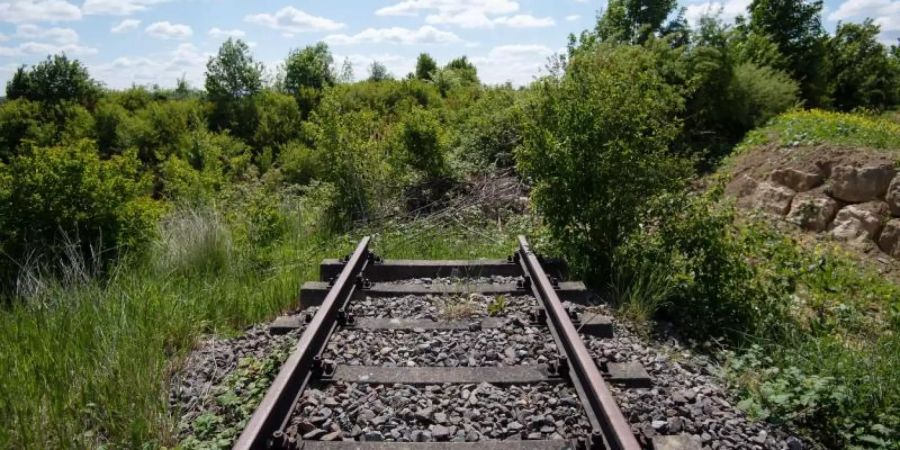 Mehr als 3000 Kilometer stillgelegte Bahnstrecken lassen sich aus Sicht von Verkehrsverbänden ohne allzu grossen Aufwand reaktivieren. Foto: Marijan Murat