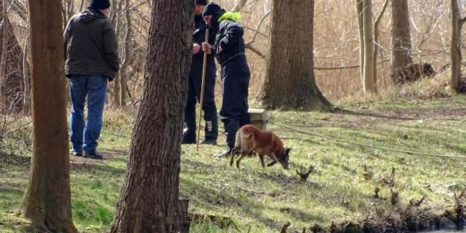Polizeibeamte mit einem Spürhund suchen am Ufer des Storkower Kanals nahe dem Wolziger See im Landkreis Dahme-Spreewald nach der vermissten Rebecca. Foto: Toni Feist/dpa-Zentralbild Polizeibeamte mit einem Spürhund suchen am Ufer des Storkower Kanals nahe dem Wolziger See im Landkreis Dahme-Spreewald nach der vermissten Rebecca. Foto: Toni Feist/dpa-Zentralbild