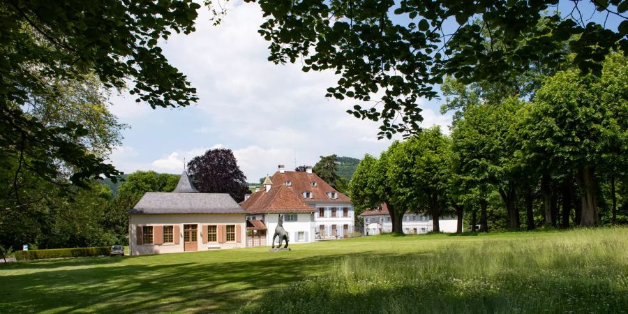 Das Schloss Ebenrain in Sissach.