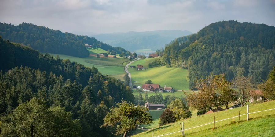 Gemeinde Wiliberg im Kanton Aargau.