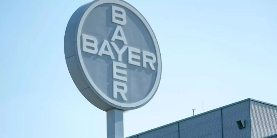 Bayer hat sich nach eigenen Angaben in einem Glyphosat-Prozess in Los Angeles durchgesetzt. Foto: Hendrik Schmidt/dpa-Zentralbild/dpa