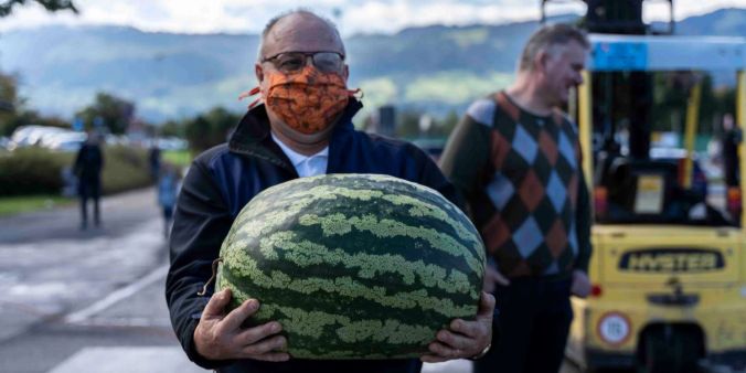 Kürbiswiegen auf der Jucker Farm.