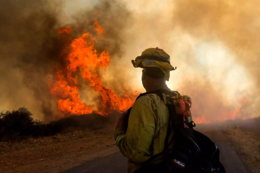 flächenbrand