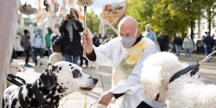 Diakon Carsten Lehmann segnet zwei Hunde mit einem Aspergill und Weihwasser. Foto: Friso Gentsch/dpa