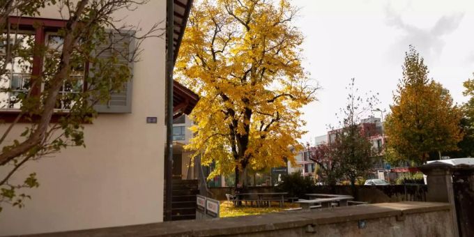 Auch in Bassersdorf ist der Herbst zu sehen. Kloten