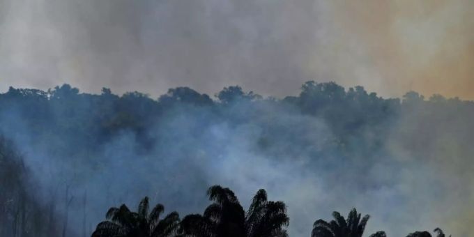 Rio de Janeiro - Bolsonaro bezeichnet Berichte über Amazonas-Brände als «Lüge»