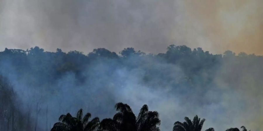 Waldbrand im Amazonas-Gebiet