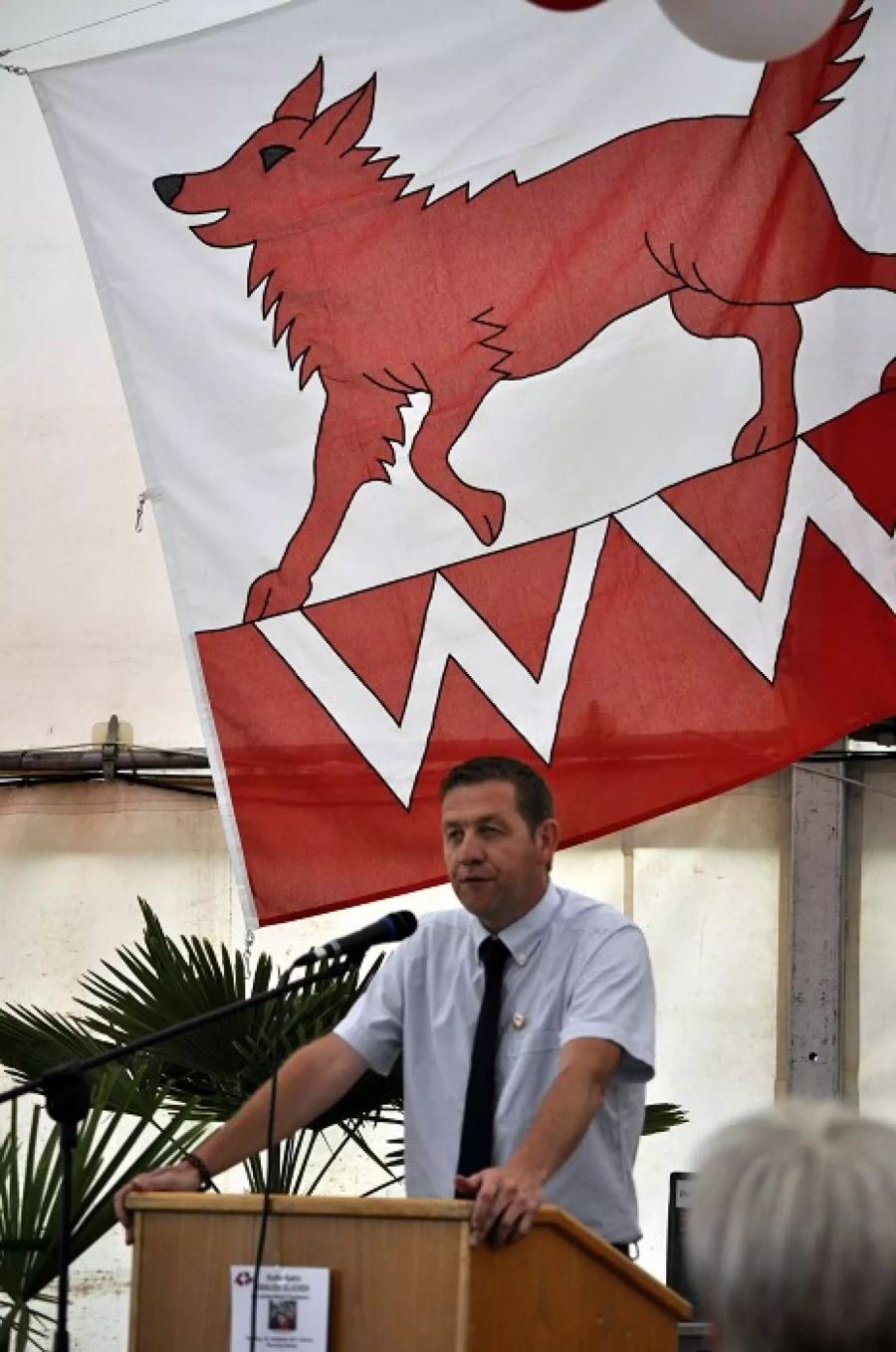 Georg Lindemann Wolfwil