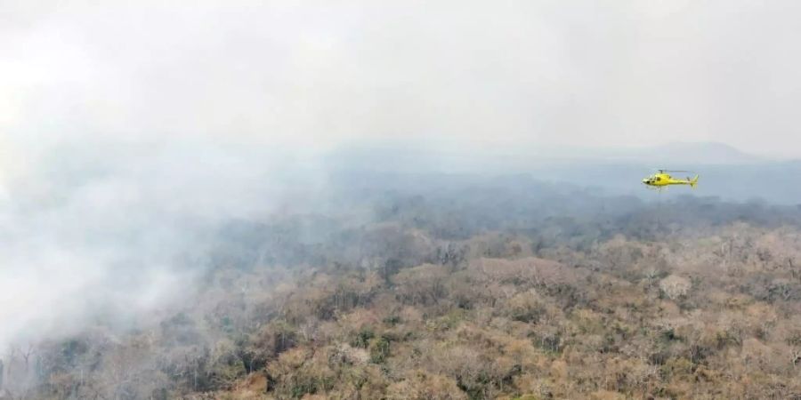 Waldbrand in Bolivien