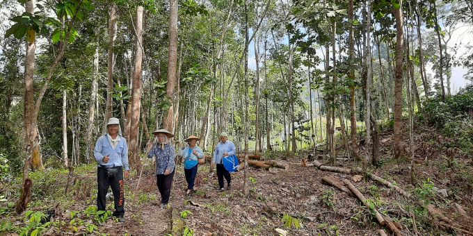 Das Volk der Penan lebt seit Jahrhunderten im Urwald von Sarawak in Malaysia. Wald Bruno Manser Fonds