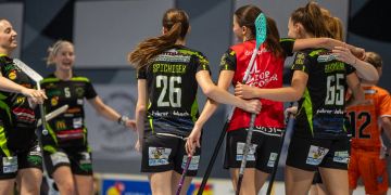 Skorpion Emmental Aergera Giffers