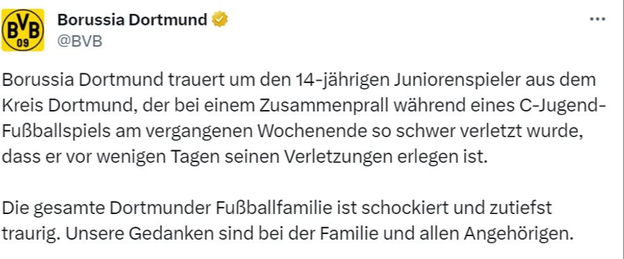 BVB