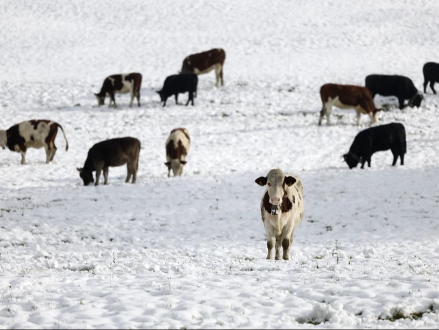 Schon einiges mehr an Schnee hat es in Orsieres VS, der Ort zählt allerdings nicht mehr zum Flachland.