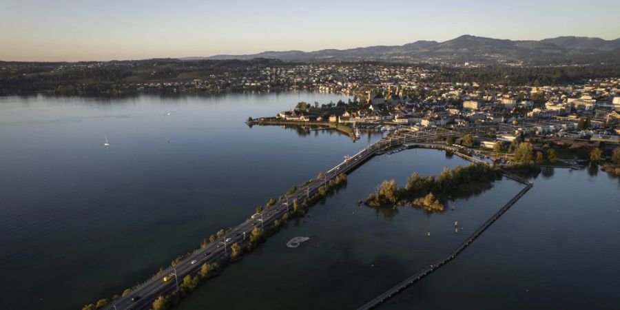 zürichsee miete