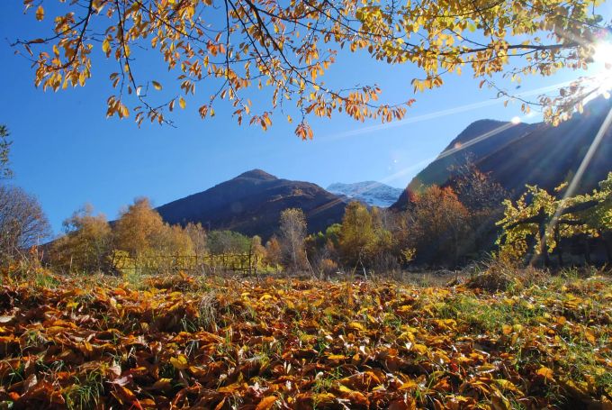 Vogogna liegt mitten im Nationalpark Val Grande mit seinen üppigen Kastanien- und Buchenwäldern. df