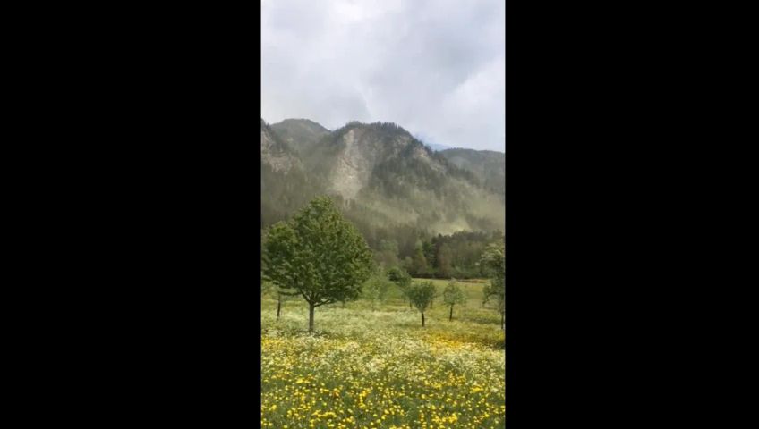 vid-20180429-wa0009