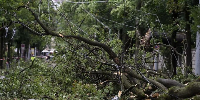Zürich hat es besonders stark getroffen: Umgestürzte Bäume am Dienstagmorgen. Zürich hat es besonders stark getroffen: Umgestürzte Bäume am Dienstagmorgen.