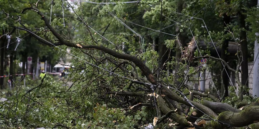 Zürich hat es besonders stark getroffen: Umgestürzte Bäume am Dienstagmorgen.