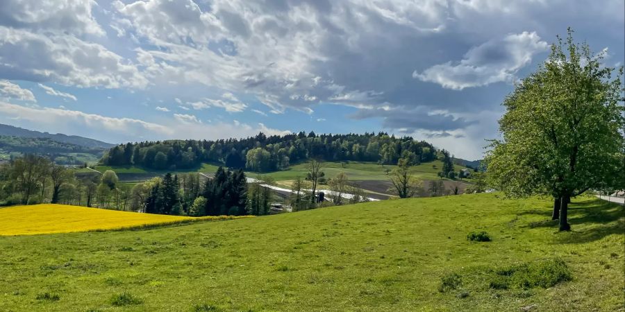 Landschaftsbild in Buchs (ZH) bei Regensdorf.