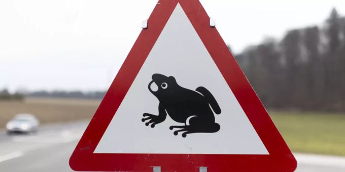 Während der Amphibienwanderung in den Monaten Februar bis April wird entlang der Brüttenerstrasse eine befristete Temporeduktion von 80 km/h auf 60 km/h signalisiert.