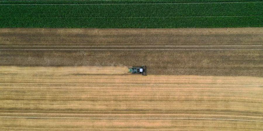 Landwirt auf einem Feld in Nordrhein-Westfalen