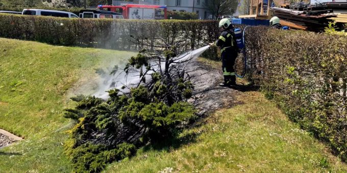 Die Feuerwehr Bischofszell konnte den Brand rasch löschen. Kantonspolizei Thurgau