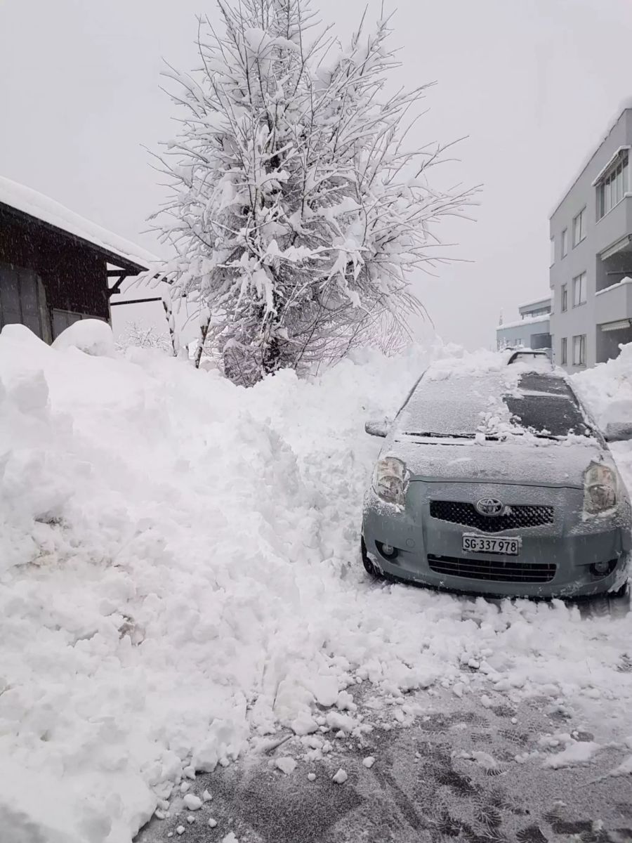 Viel Schnee gab es letzte Woche fast überall: Etwa hier, im sonst so milden Staad SG am Bodensee.