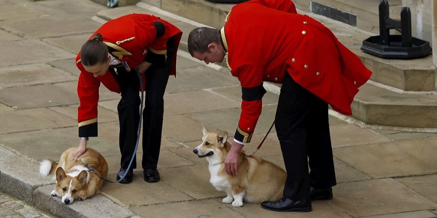 Corgis Queen