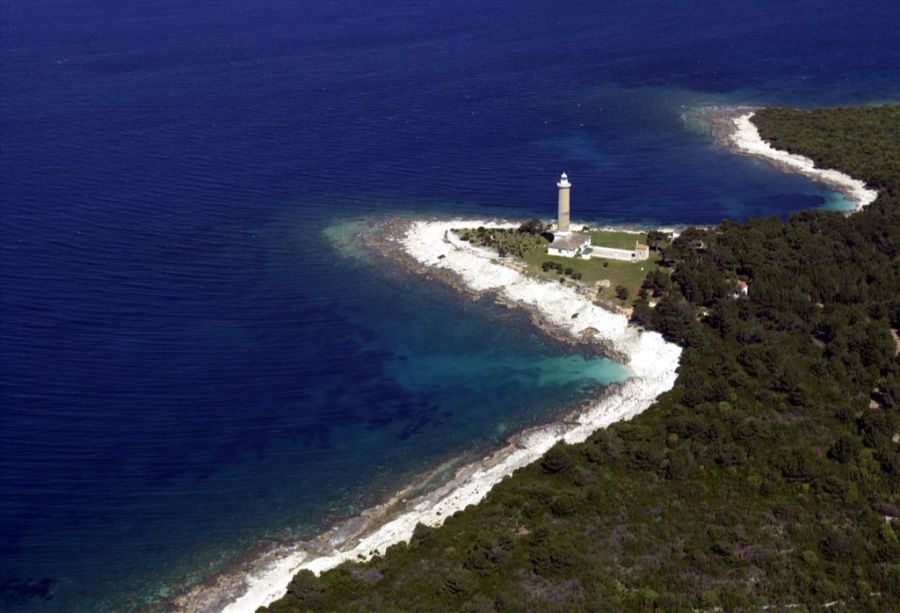 Er wurde in letzter Zeit vor allem in der Adria vor Kroatien gesichtet.