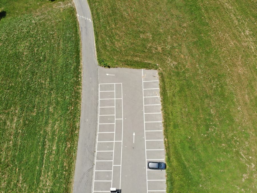 Auf dem heissen Asphalt können sich Tiere die Pfoten verbrennen.