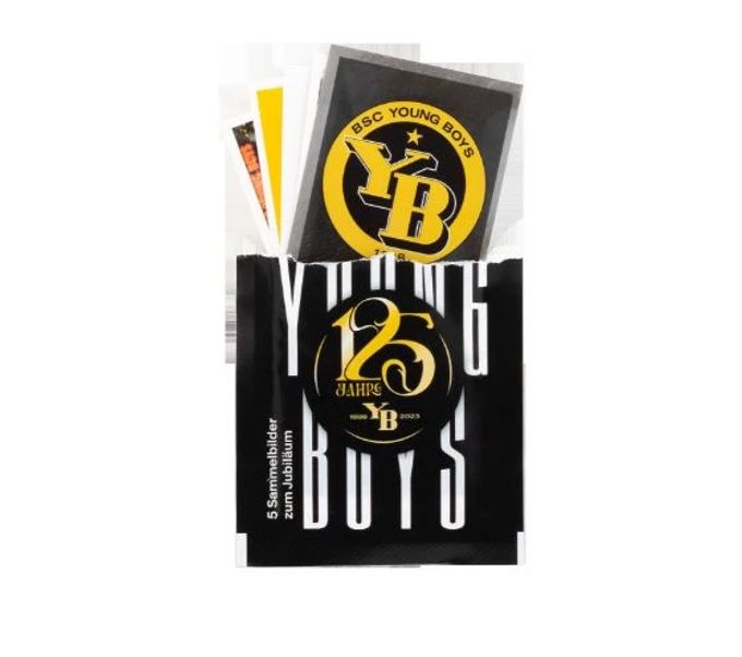 YB Panini