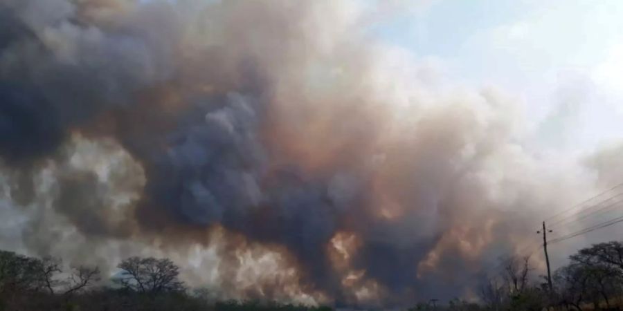 Waldbrand in Bolivien