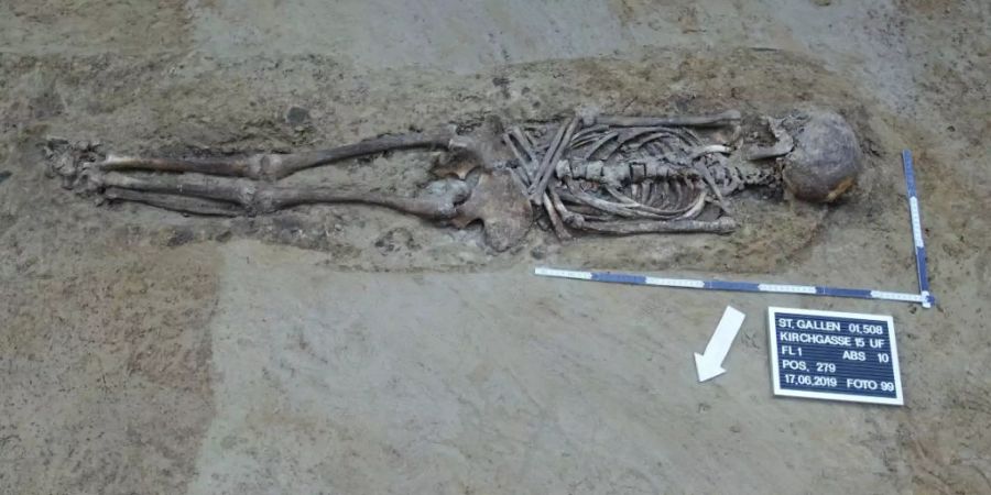 Die Archäologen legten in St. Gallen insgesamt 63 Gräber frei. Darunter etwa ein gut erhaltenes Skelett einer erwachsenen Person (Bild). Die ältesten Funde dürften aus dem Spätmittelalter stammen.