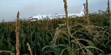 Maisfeld Landung Flugzeug