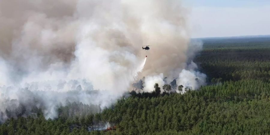 Waldbrand in der Lieberoser Heide