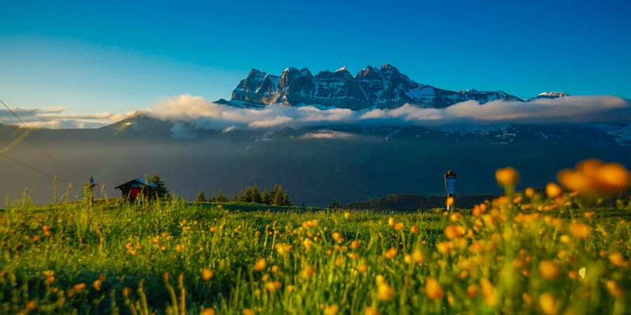 Dents du Midi