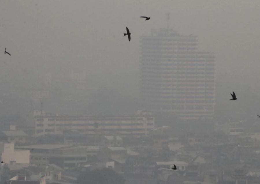 Neben Bangkok ist die Tempelstadt Chiang Mai derzeit stark betroffen.