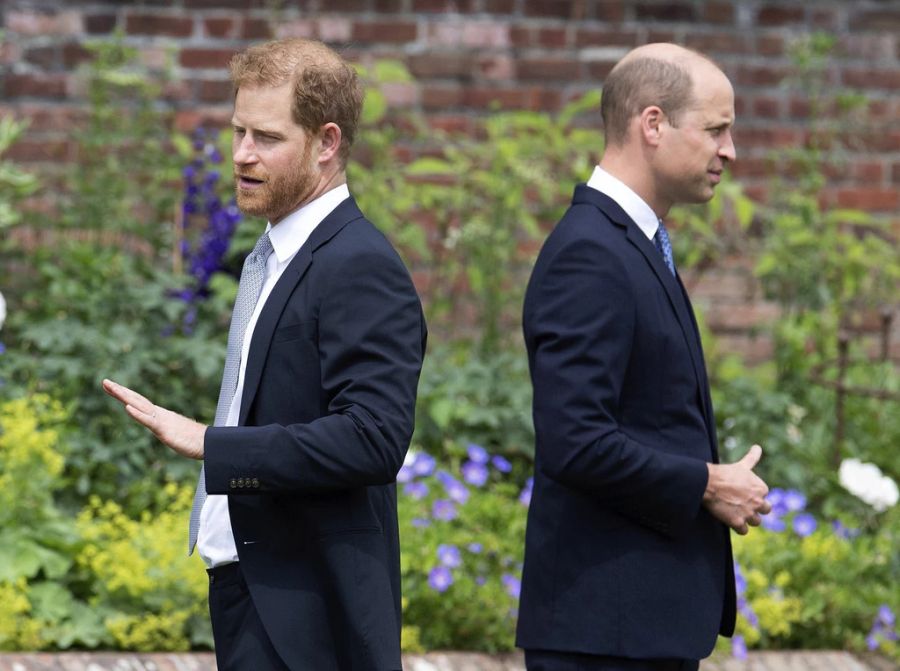 Prinz William und Prinz Harry haben sich nicht mehr viel zu sagen.